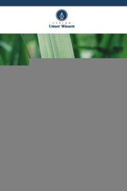 Vielfalt der parasitischen Hymenopteren von Reis