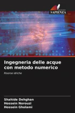 Ingegneria delle acque con metodo numerico