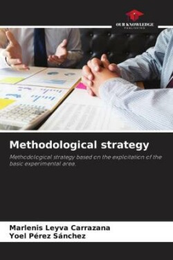 Methodological strategy