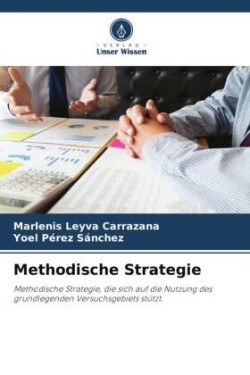 Methodische Strategie