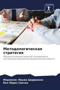 Методологическая стратегия