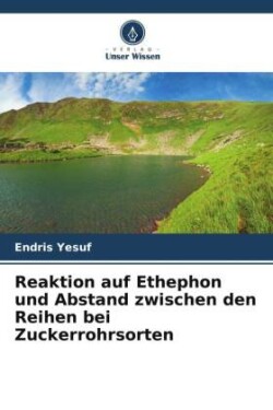 Reaktion auf Ethephon und Abstand zwischen den Reihen bei Zuckerrohrsorten