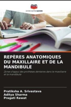 Repères Anatomiques Du Maxillaire Et de la Mandibule