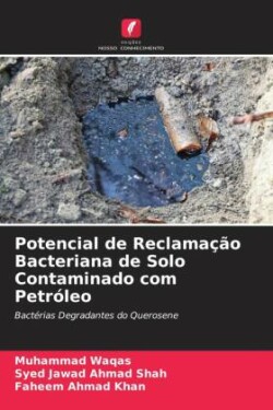 Potencial de Reclamação Bacteriana de Solo Contaminado com Petróleo