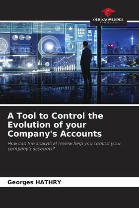 Tool to Control the Evolution of your Company's Accounts