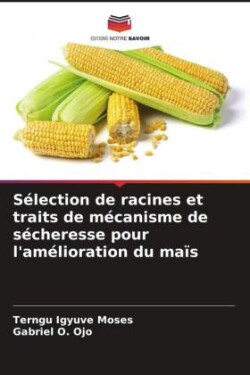 Sélection de racines et traits de mécanisme de sécheresse pour l'amélioration du maïs