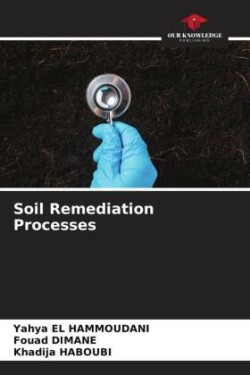 Soil Remediation Processes