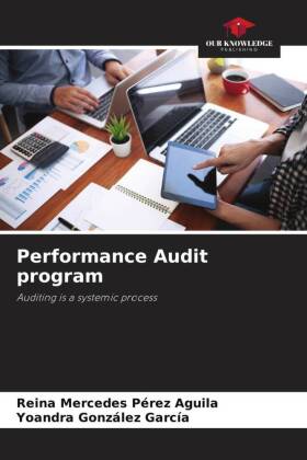 Performance Audit program