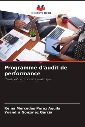 Programme d'audit de performance