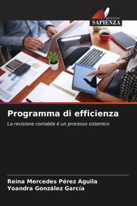 Programma di efficienza