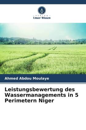 Leistungsbewertung des Wassermanagements in 5 Perimetern Niger