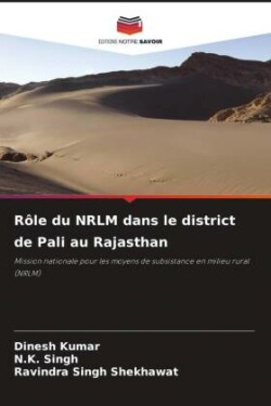 Rôle du NRLM dans le district de Pali au Rajasthan