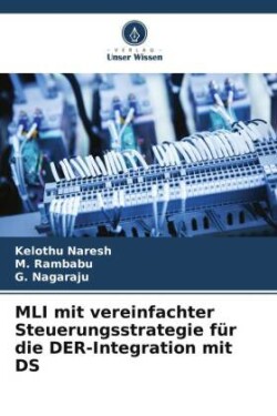 MLI mit vereinfachter Steuerungsstrategie für die DER-Integration mit DS