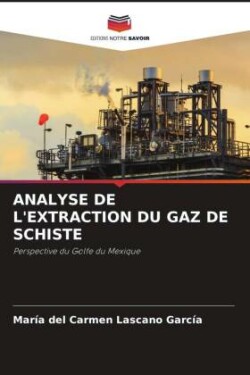 Analyse de l'Extraction Du Gaz de Schiste