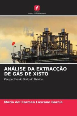 Análise Da Extracção de Gás de Xisto