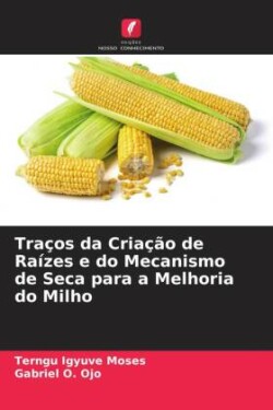 Traços da Criação de Raízes e do Mecanismo de Seca para a Melhoria do Milho