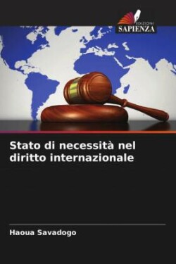 Stato di necessità nel diritto internazionale