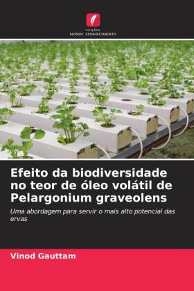 Efeito da biodiversidade no teor de óleo volátil de Pelargonium graveolens