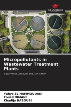 Micropollutants in Wastewater Treatment Plants
