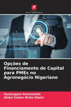 Opções de Financiamento de Capital para PMEs no Agronegócio Nigeriano