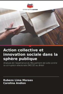 Action collective et innovation sociale dans la sphère publique