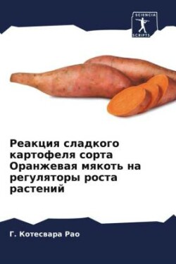 Реакция сладкого картофеля сорта Оранжев