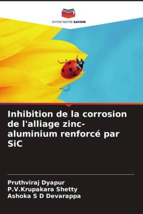 Inhibition de la corrosion de l'alliage zinc-aluminium renforcé par SiC