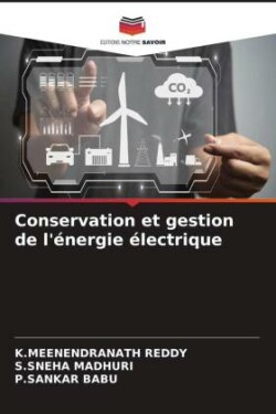 Conservation et gestion de l'énergie électrique