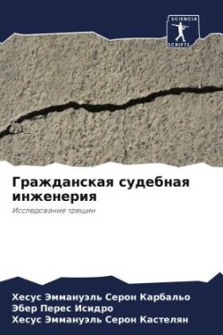 Гражданская судебная инженерия