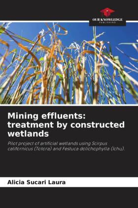 Mining effluents