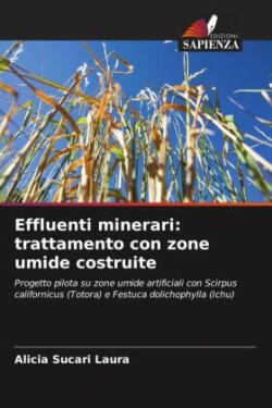 Effluenti minerari