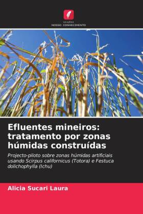 Efluentes mineiros