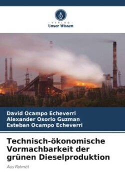 Technisch-ökonomische Vormachbarkeit der grünen Dieselproduktion