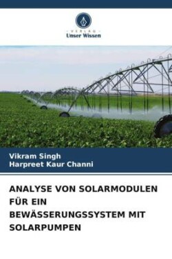 Analyse Von Solarmodulen Für Ein Bewässerungssystem Mit Solarpumpen