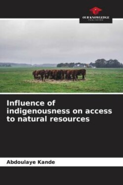 Influence of indigenousness on access to natural resources