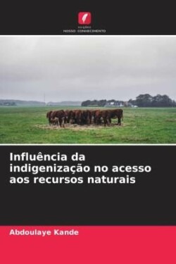 Influência da indigenização no acesso aos recursos naturais