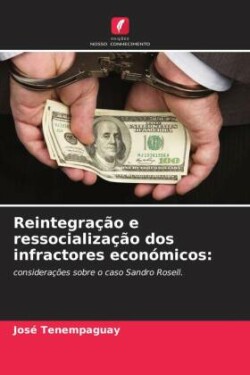 Reintegração e ressocialização dos infractores económicos