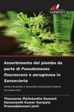Assorbimento del piombo da parte di Pseudomonas flourescens e aeruginosa in Sansevieria