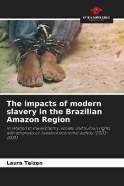 impacts of modern slavery in the Brazilian Amazon Region