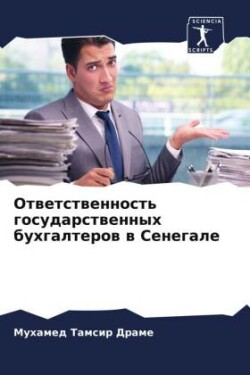 Ответственность государственных бухгал&#