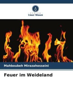 Feuer im Weideland