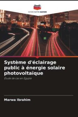 Système d'éclairage public à énergie solaire photovoltaïque