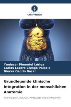 Grundlegende klinische Integration in der menschlichen Anatomie