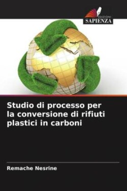 Studio di processo per la conversione di rifiuti plastici in carboni