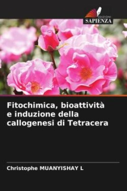 Fitochimica, bioattività e induzione della callogenesi di Tetracera