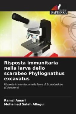 Risposta immunitaria nella larva dello scarabeo Phyllognathus excavatus