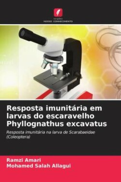 Resposta imunitária em larvas do escaravelho Phyllognathus excavatus