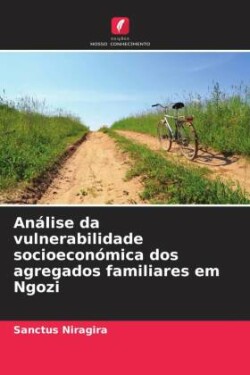 Análise da vulnerabilidade socioeconómica dos agregados familiares em Ngozi