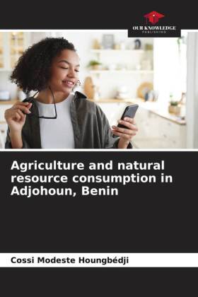 Agriculture and natural resource consumption in Adjohoun, Benin
