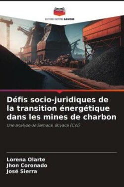 Défis socio-juridiques de la transition énergétique dans les mines de charbon